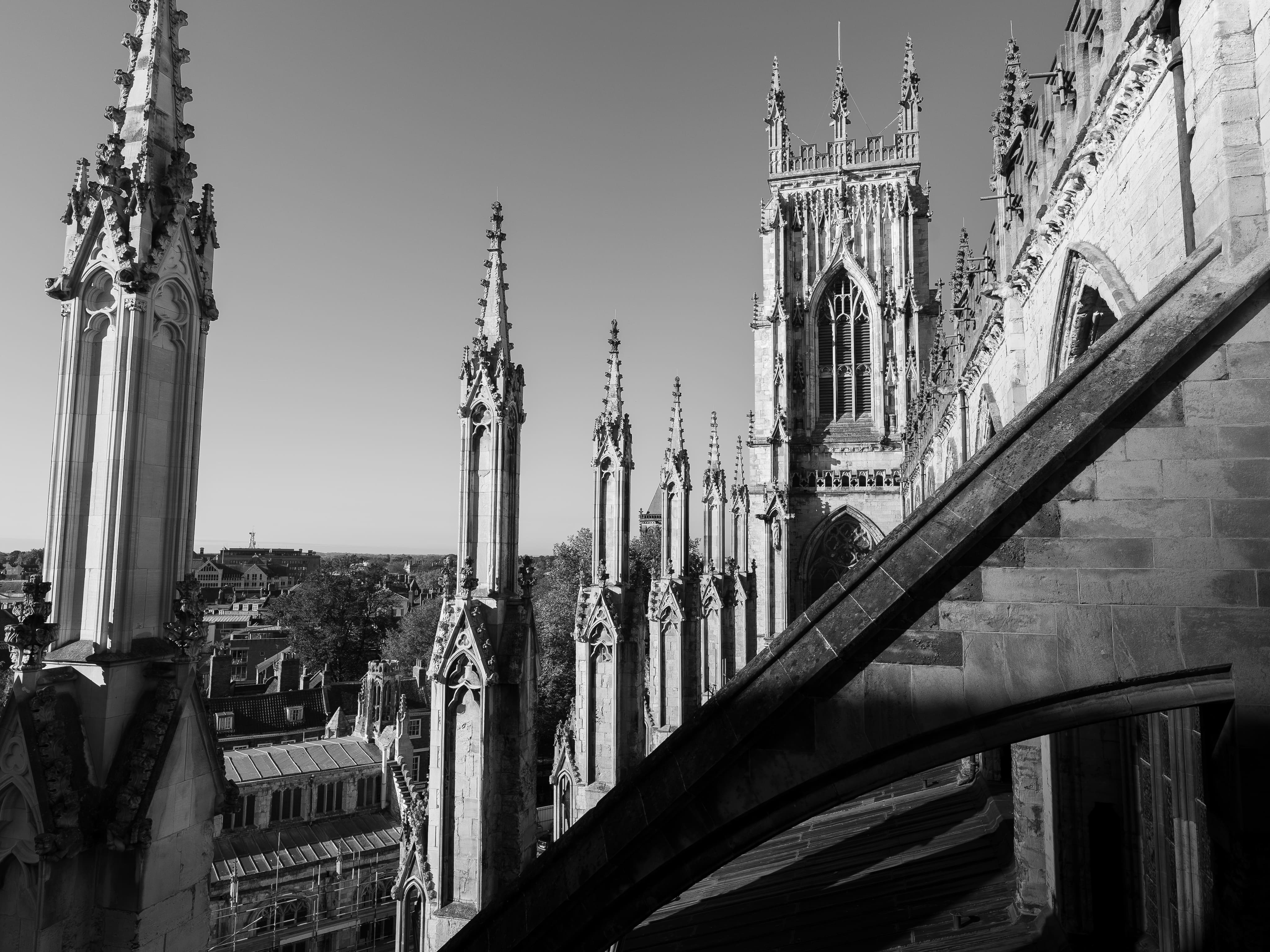 Photography showcase